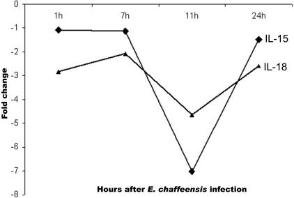 FIG. 3.