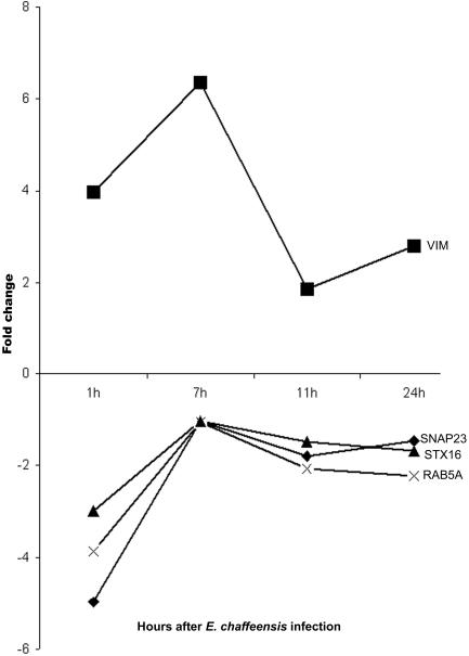 FIG. 4.