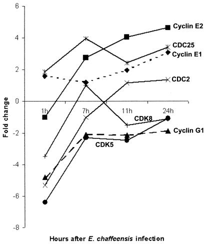 FIG. 6.