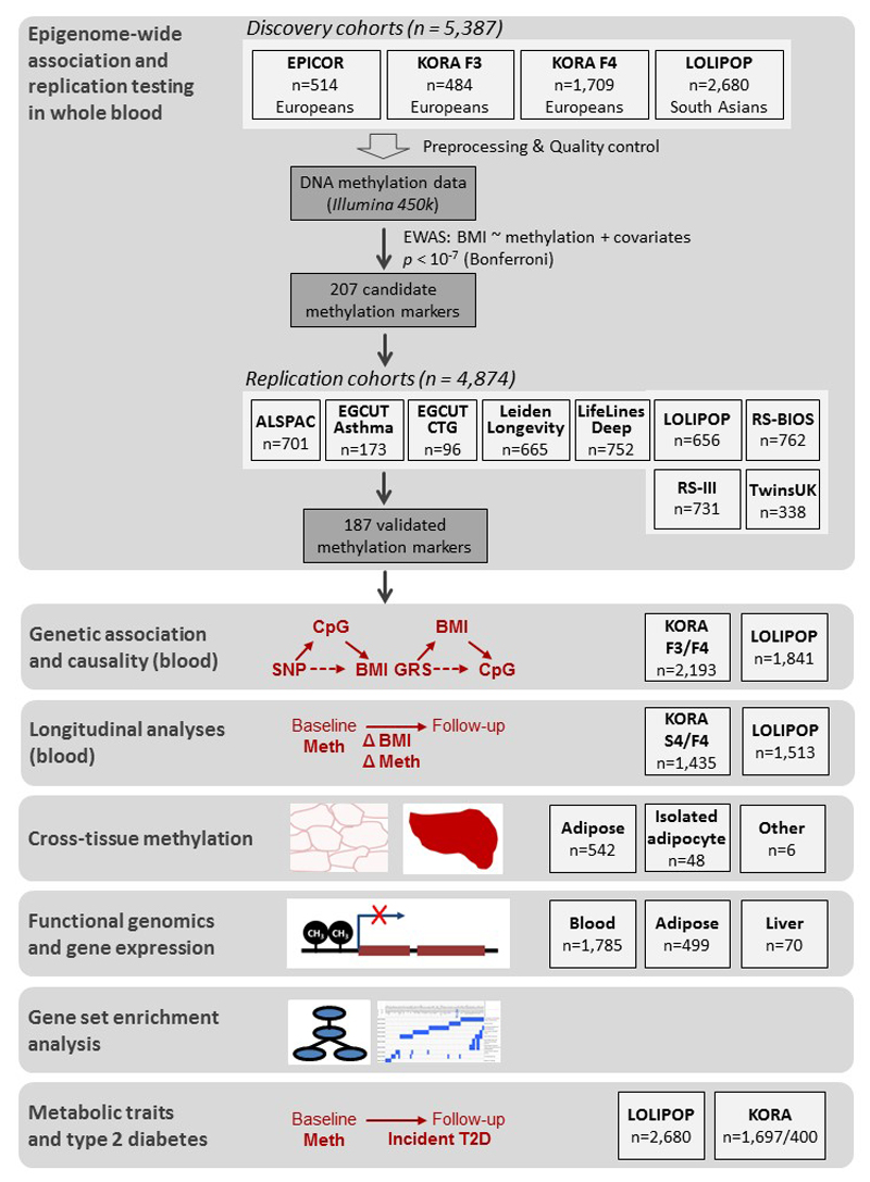 Extended Data Figure 1