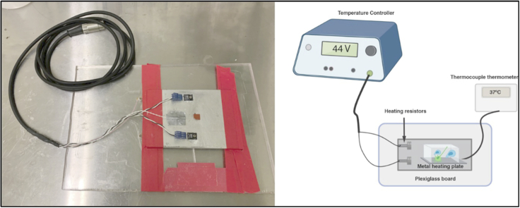 Figure 1