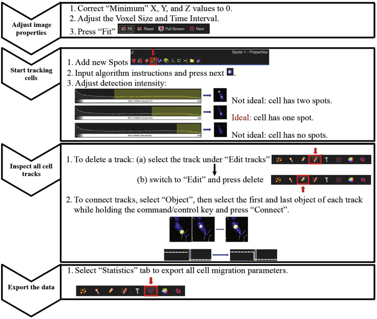 Figure 6