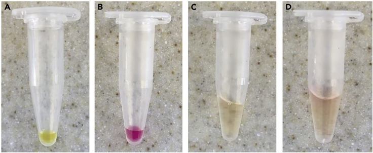 Figure 4