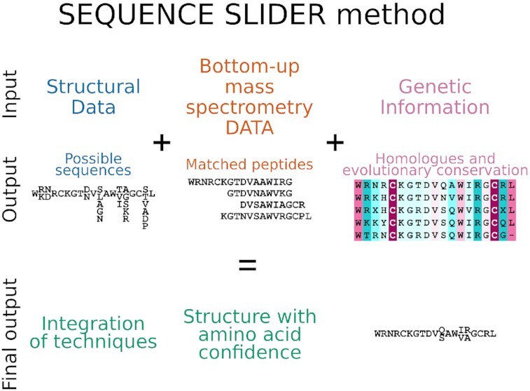 Graphical Abstract