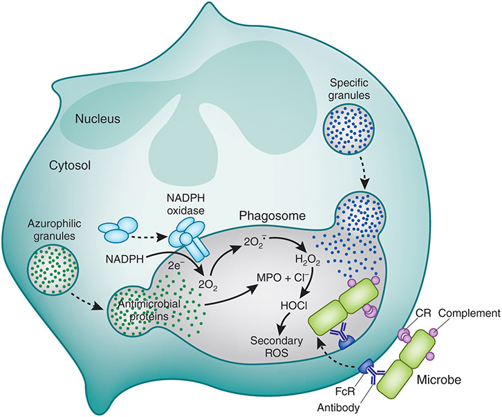 FIGURE 2.