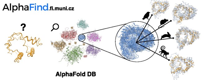 Graphical Abstract