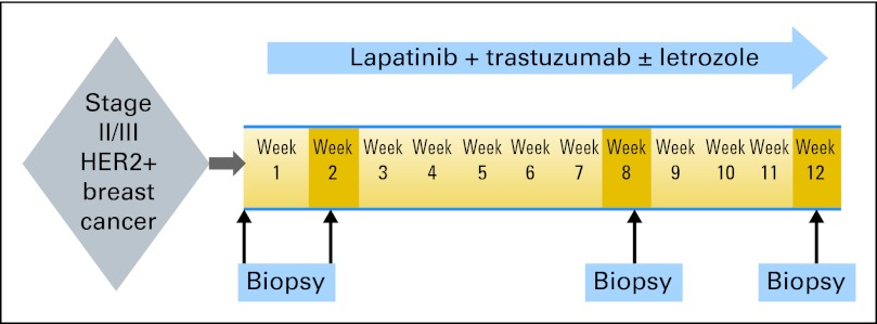 Fig 1.