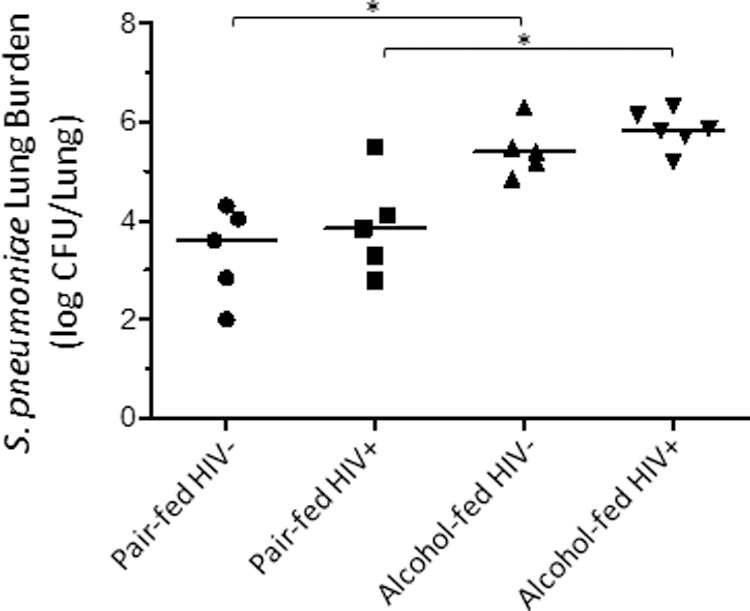 Figure 5: