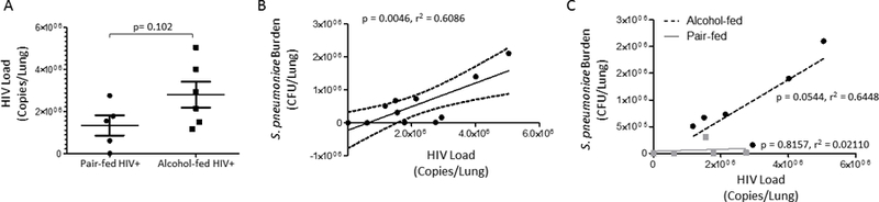 Figure 6: