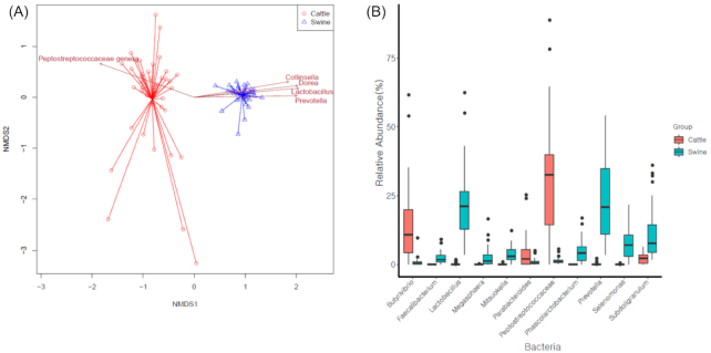 Figure 2: