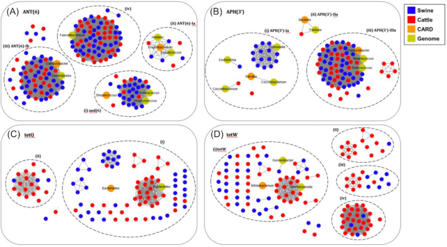 Figure 5: