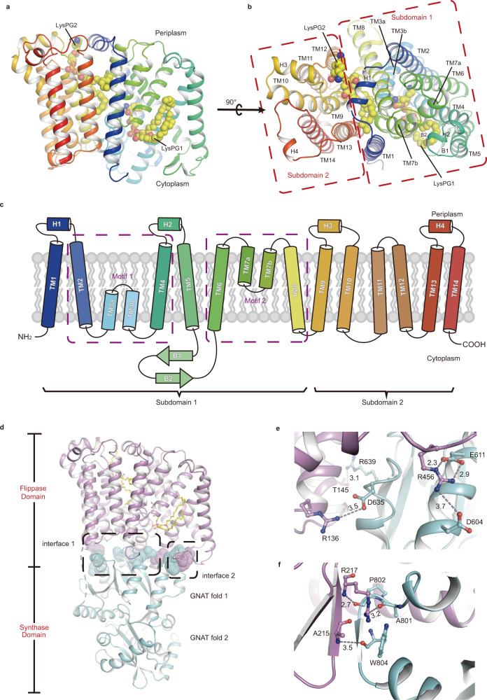 Fig. 2