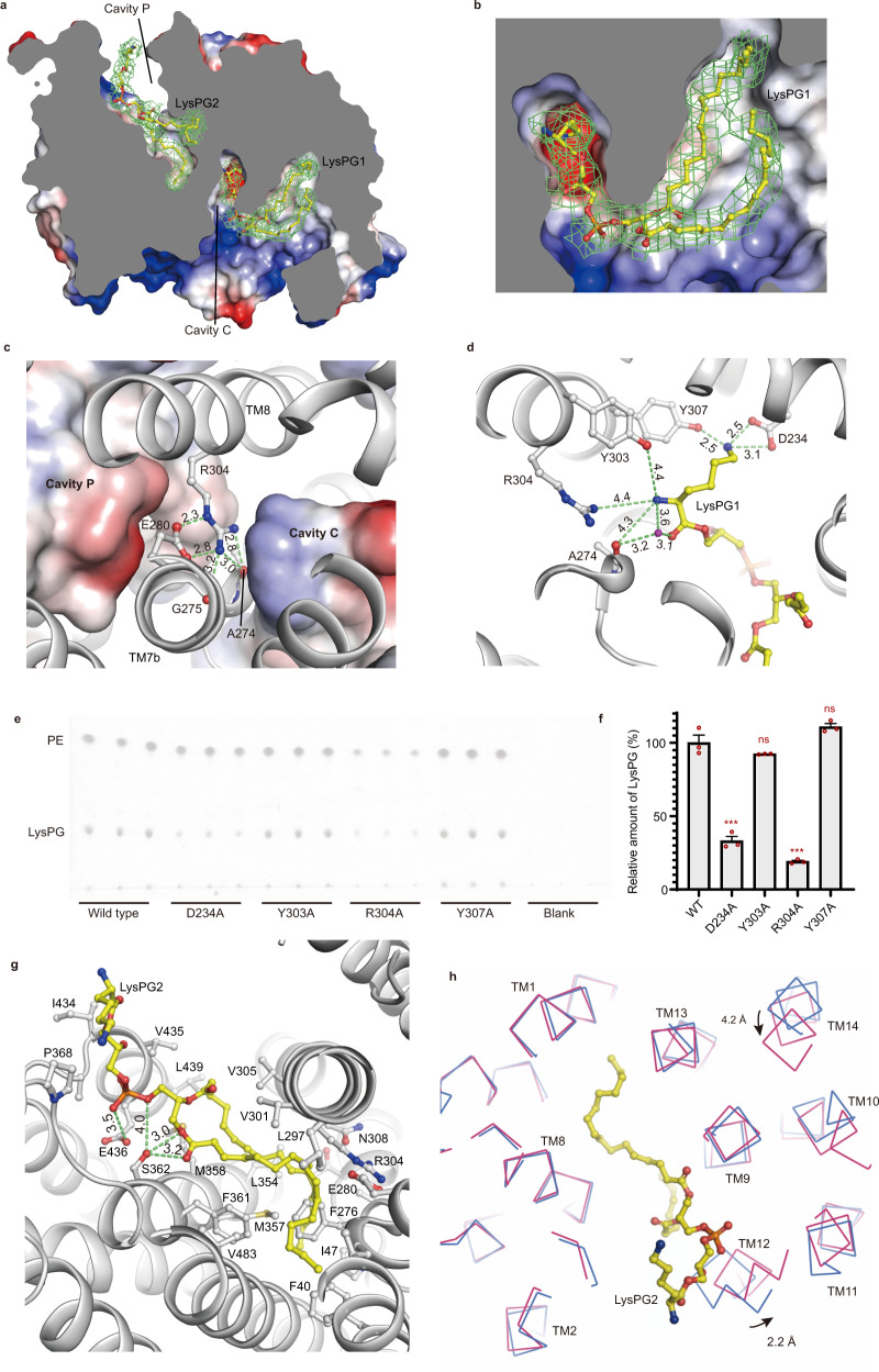 Fig. 3