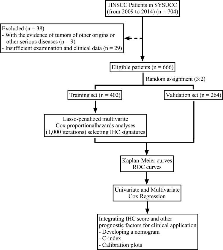 Figure 1