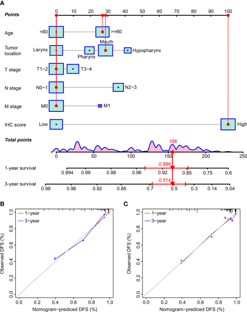 Figure 6