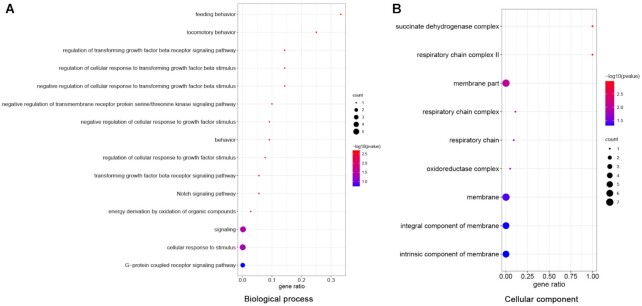 Figure 6: