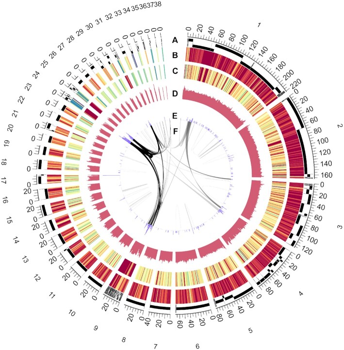 Figure 2: