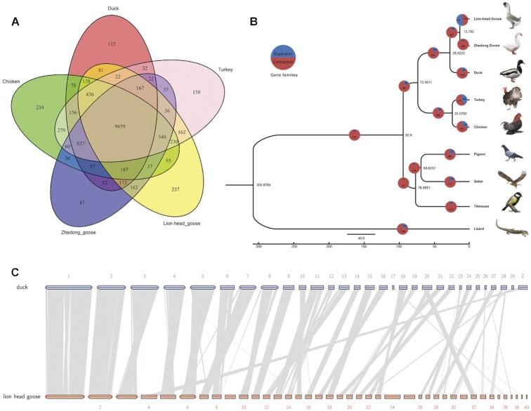 Figure 3: