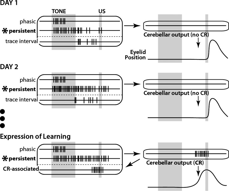 Fig. 11.