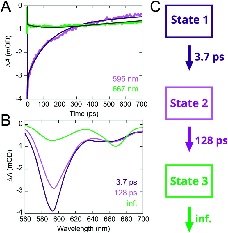 Fig. 4