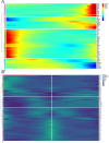 Fig. 10