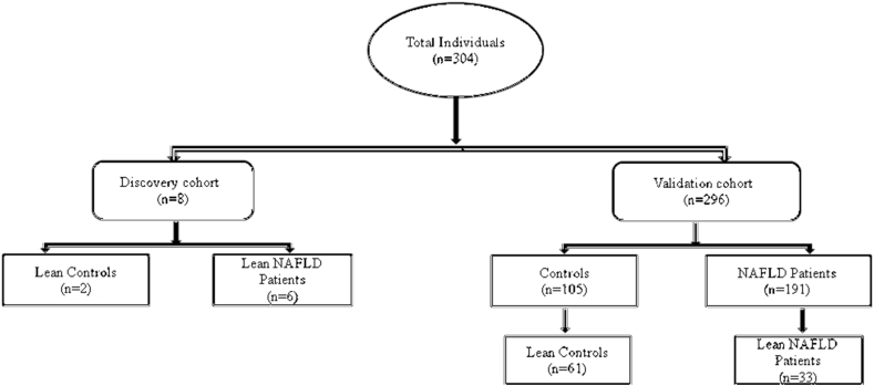 Figure 1