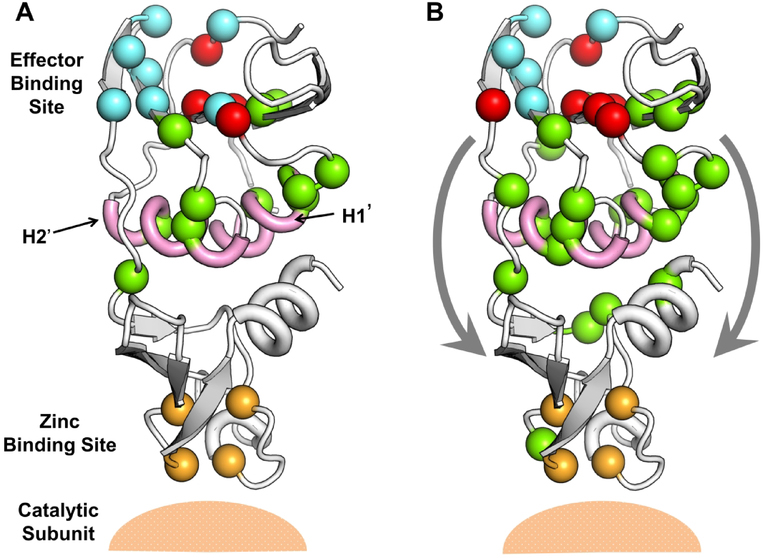 Figure 11.