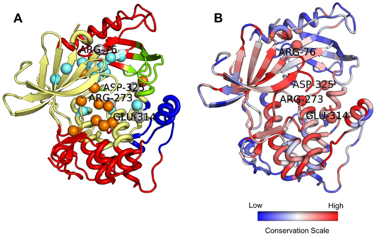 Figure 13.