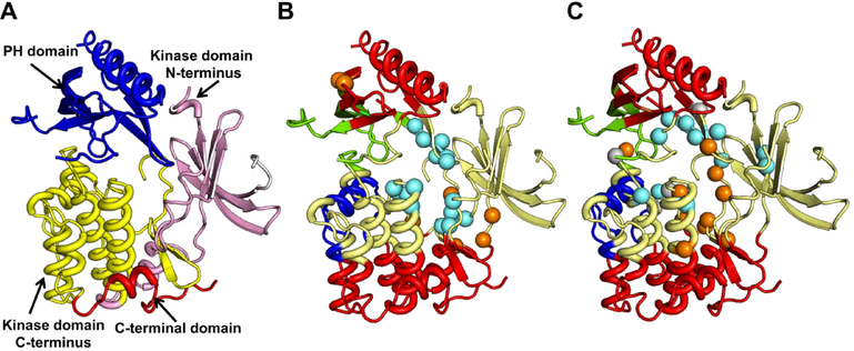 Figure 12.