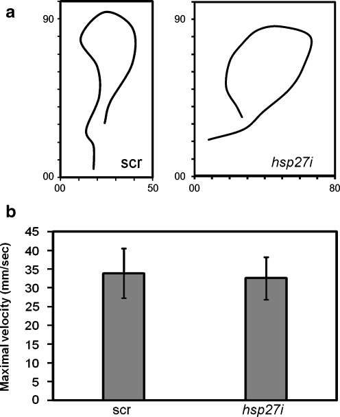 Fig. 5