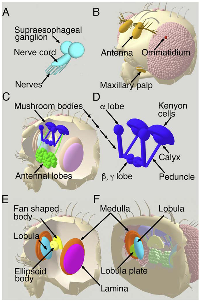 Fig 2.