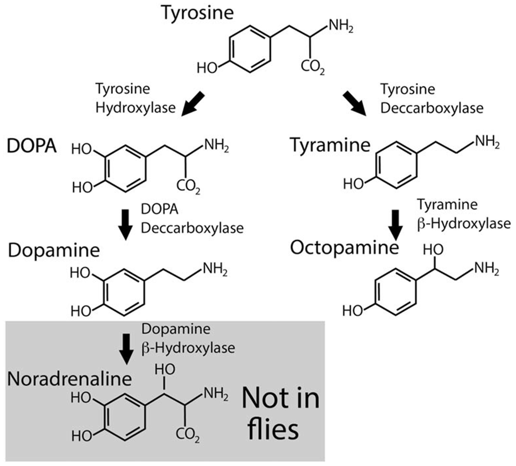 Fig 3.