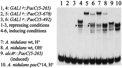 FIG. 8