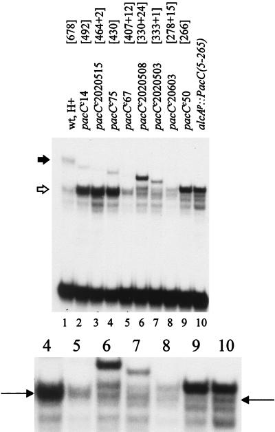 FIG. 6