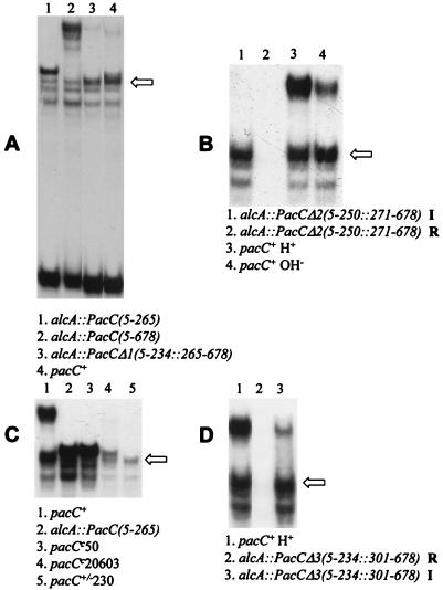 FIG. 7