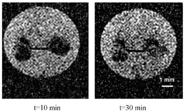 Fig.5