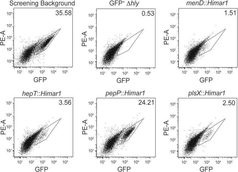 Fig 2