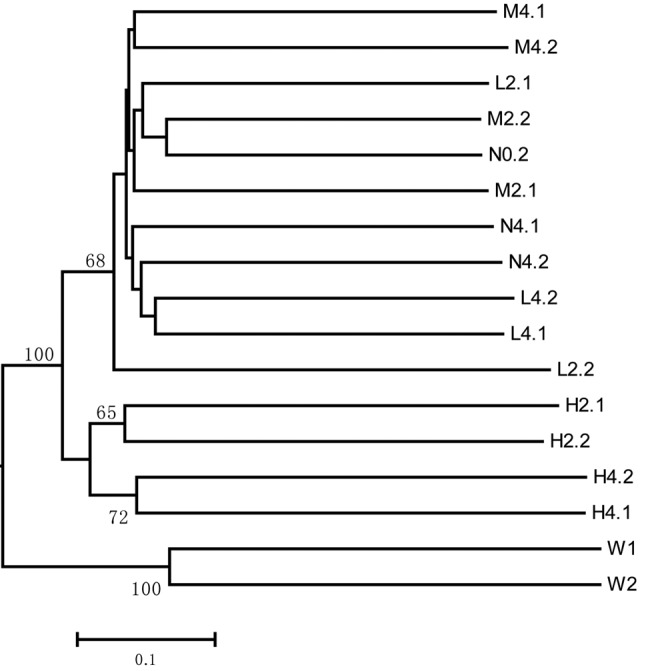 FIG 1 