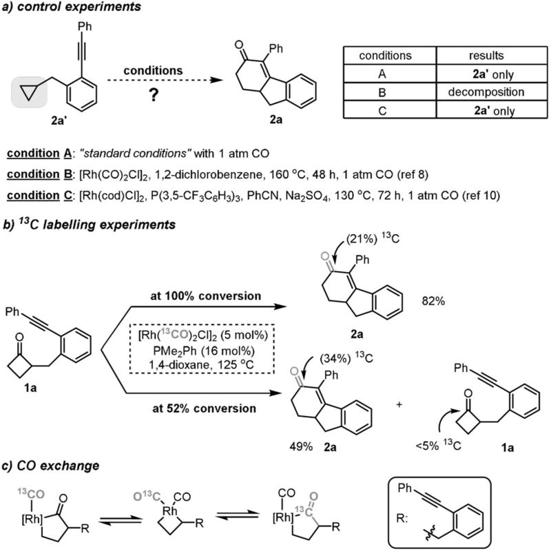 Scheme 5