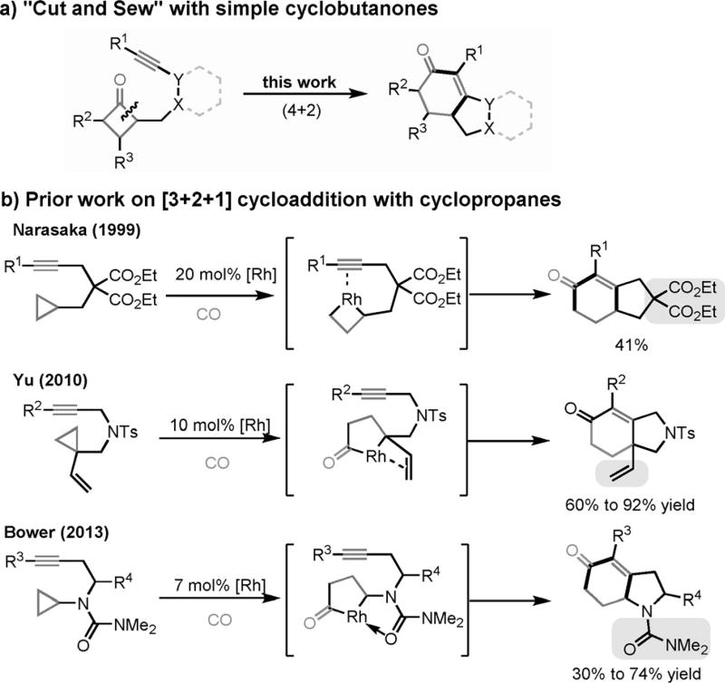 Scheme 3