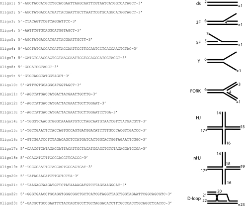 graphic file with name zbc014096927t001.jpg