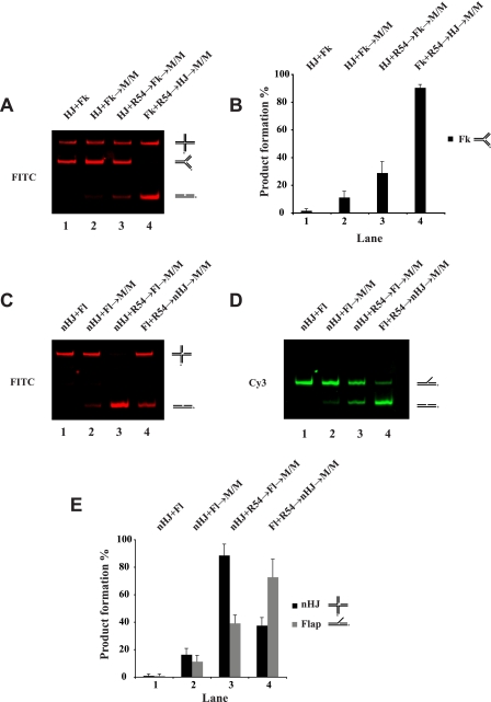 FIGURE 7.