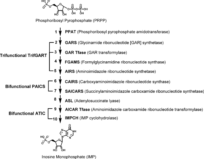 FIGURE 1.