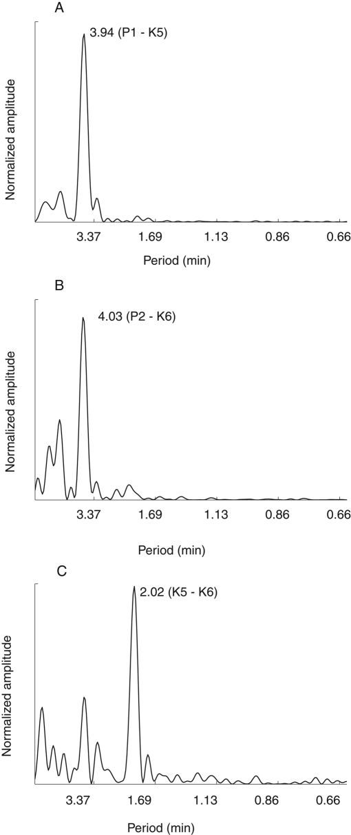 FIGURE 3: