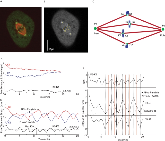 FIGURE 1: