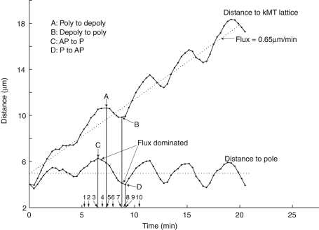 FIGURE 5: