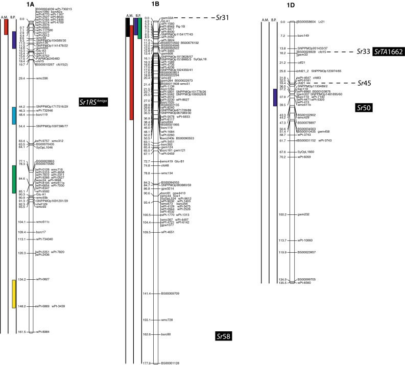 Fig. 2