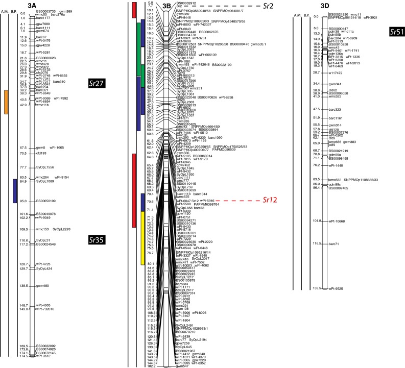 Fig. 2