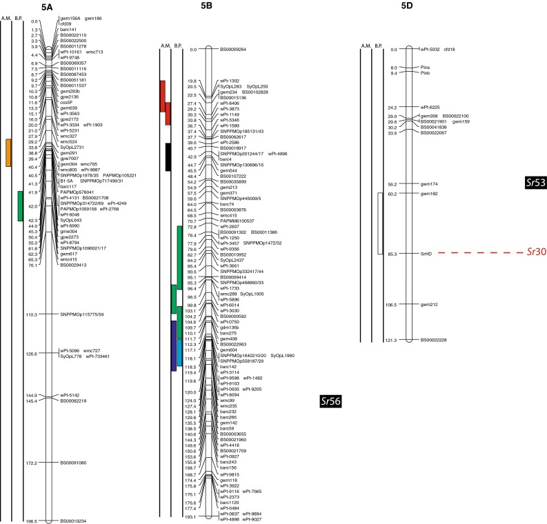 Fig. 2