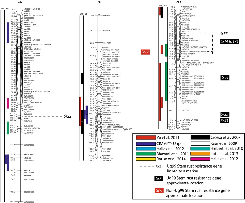 Fig. 2